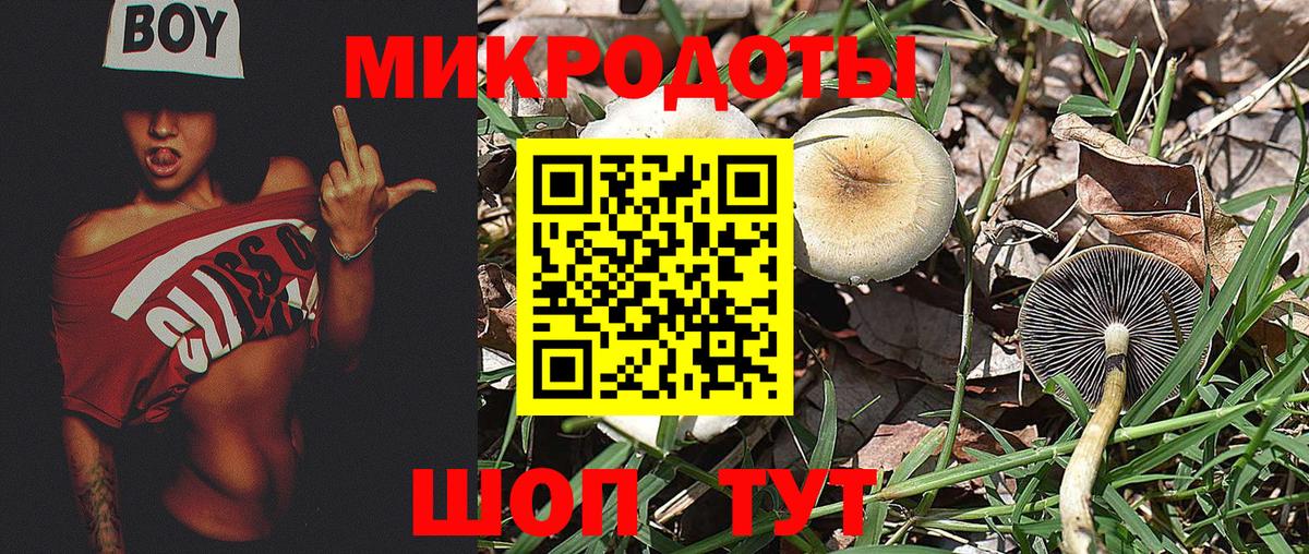 Красноармейск  Псилоцибиновые грибы ЛСД  Галлюциногенные грибы мухоморы  Вход с VPN 